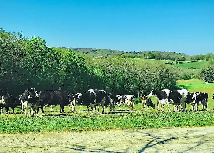 « Le Vieux Hangar » Gite A La Ferme