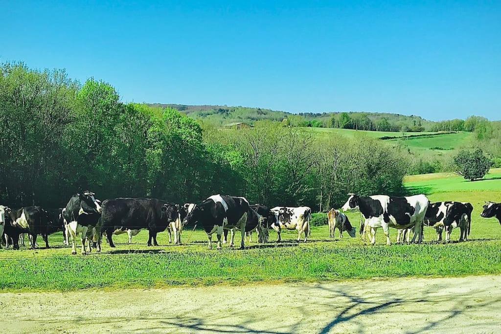 Holiday home « le Vieux Hangar » A La Ferme *